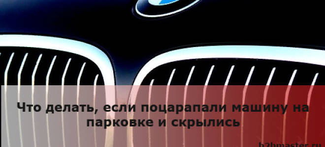 Мне поцарапали машину и скрылись что делать?